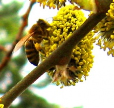 IMG 1362 1 1.jpg